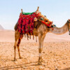 Best Time to Travel to Egypt