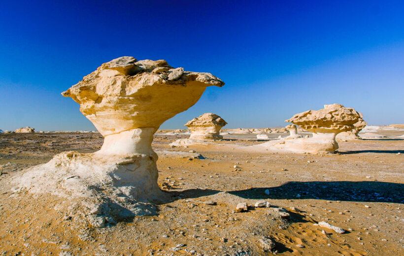 7 Days Safari Tour to Cairo & Bahariya Oasis