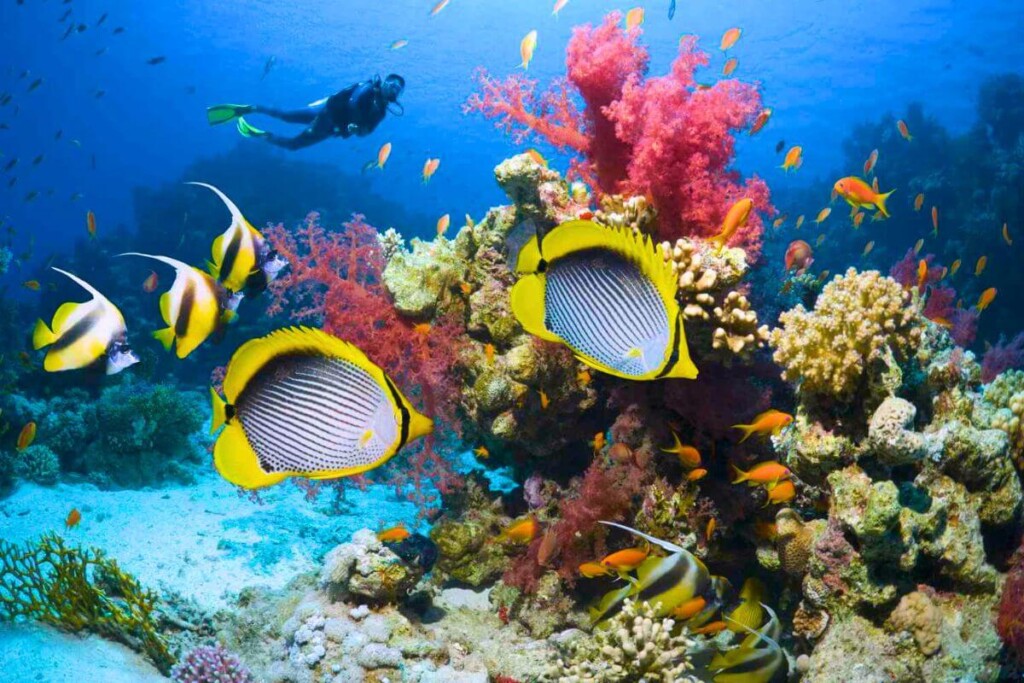 Egypt itinerary 7 days